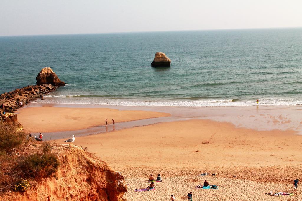 Praia Da Rocha, 502, Charming Apartment, Air Conditioning, Swimming Pool,Free Wifi, Faia By Ig Portimão Eksteriør billede
